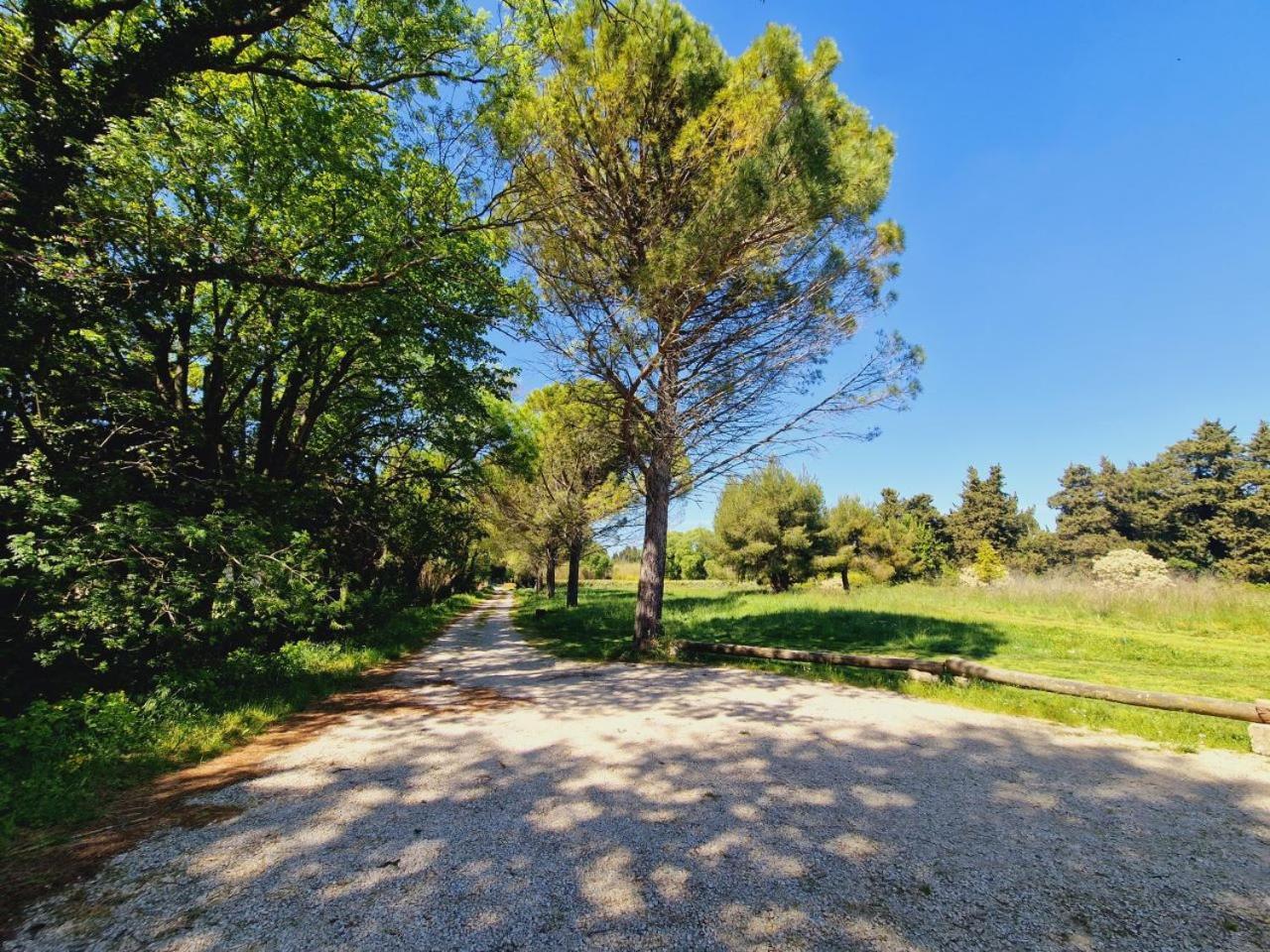Ancien Mas Du Moulin Bed and Breakfast Eygalières Εξωτερικό φωτογραφία